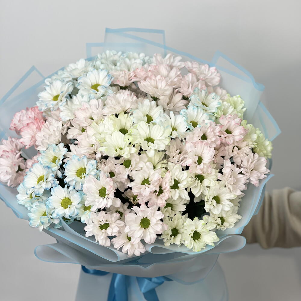 Букет из хризантемы ромашка 13 шт 🌸