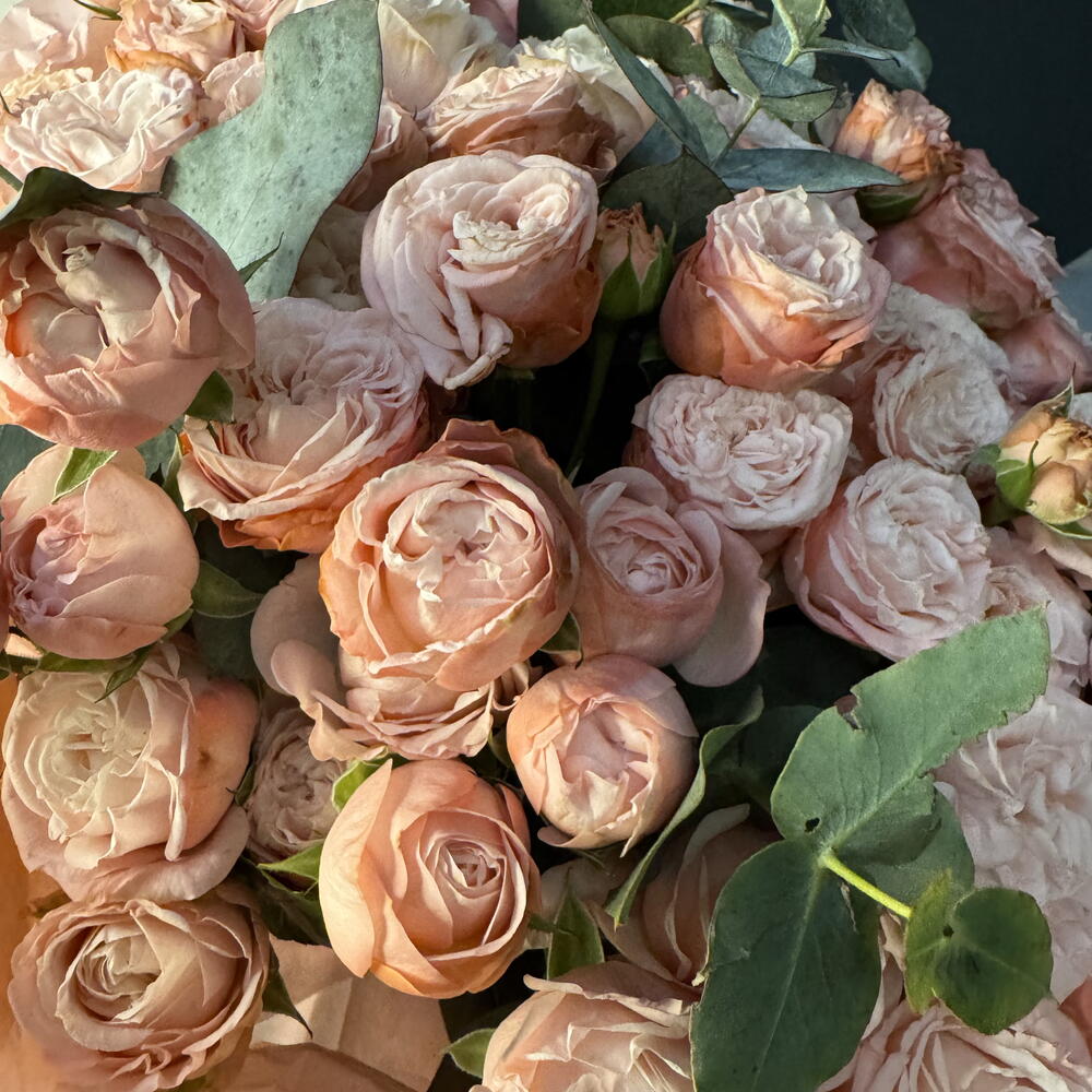 Моно букет 💐 «Мадам» из пион роз с ароматным эвкалиптом 🍀