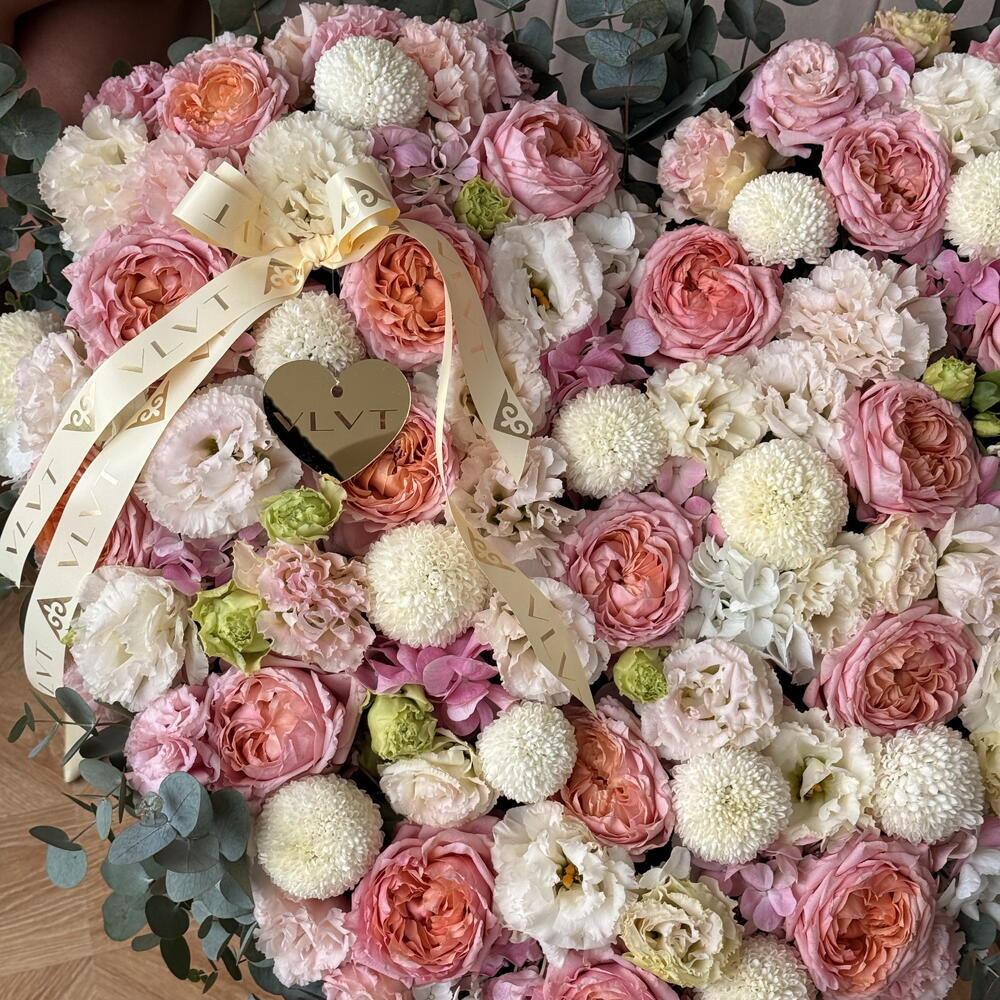 Where Softness Lives