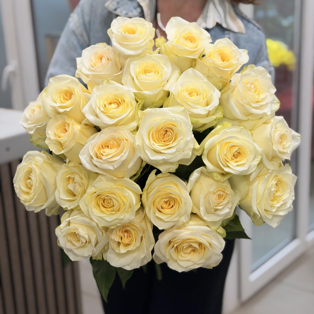 Роза Кэнделайт