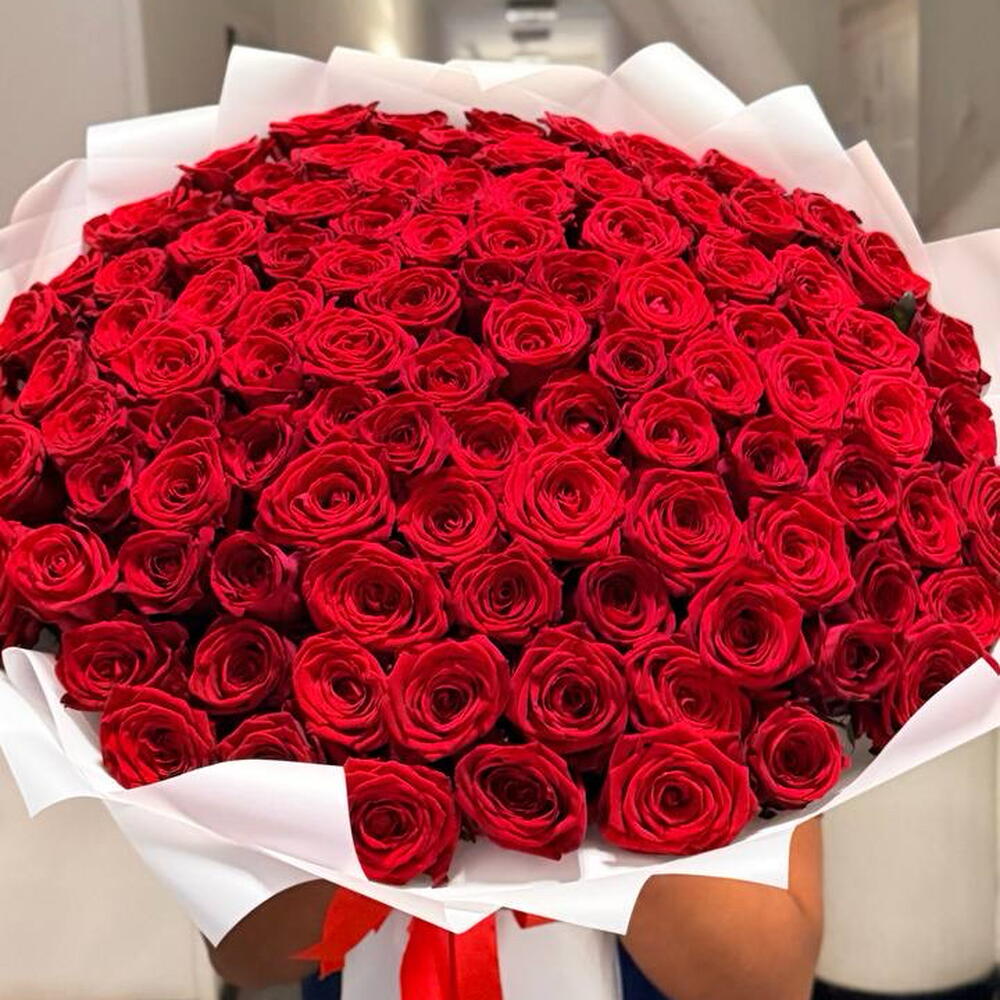 101 красная Роза букет 🌹
