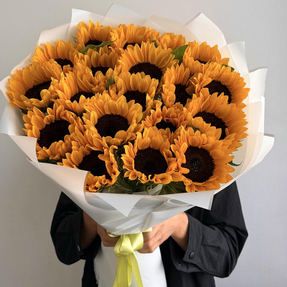 Подсолнухи 🌻