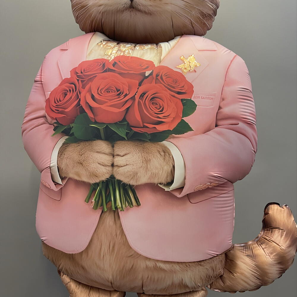 Шар кот романтик
