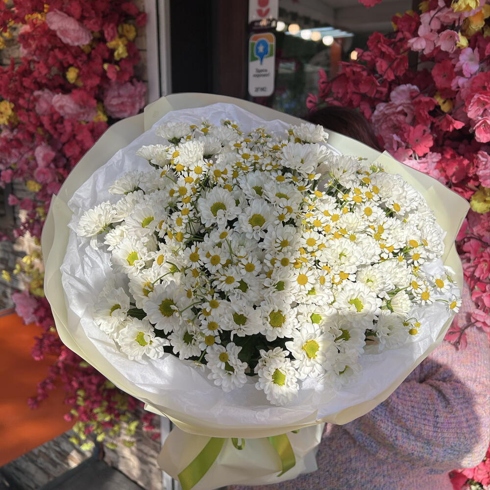 Хризантемы и ромашка🌸