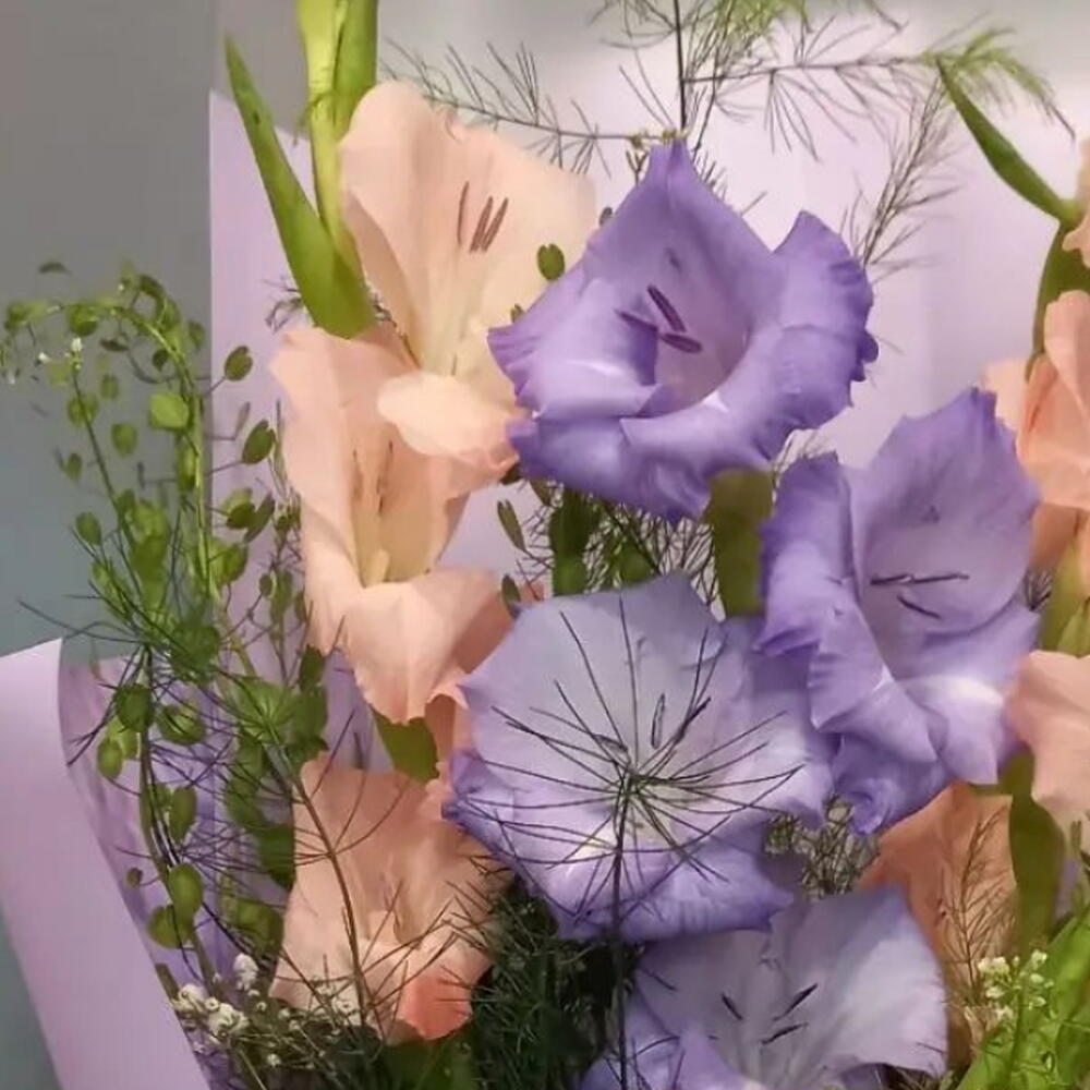 Гладиолусы микс