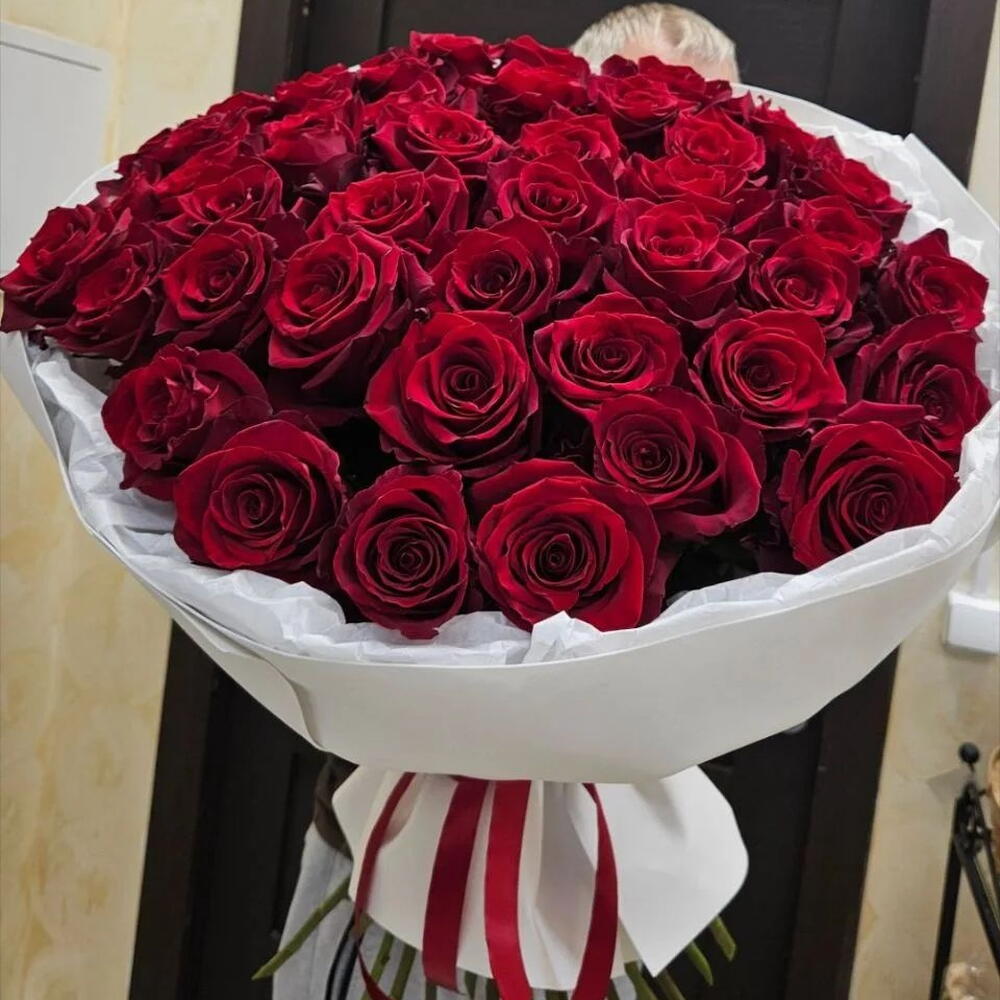 Бордовый всплеск