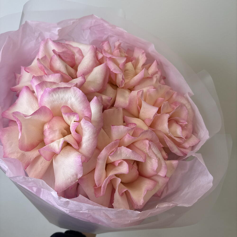 розовое облако 🌺bloom room