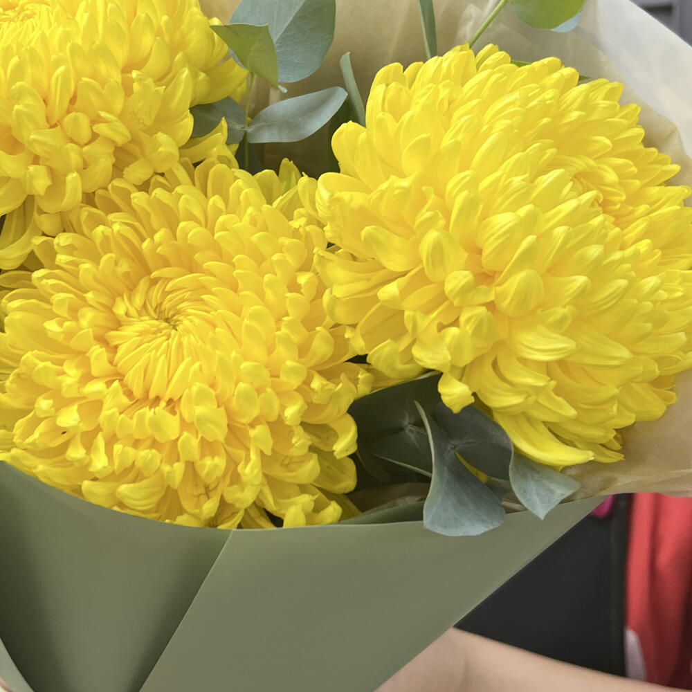 Жёлтые хризантемы с эвкалиптом💛