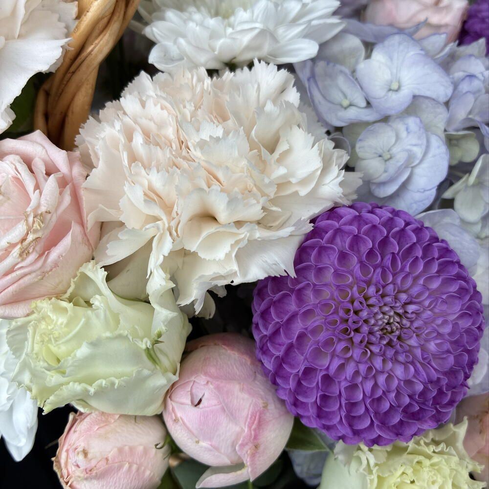 Сиреневая дымка 🌸
