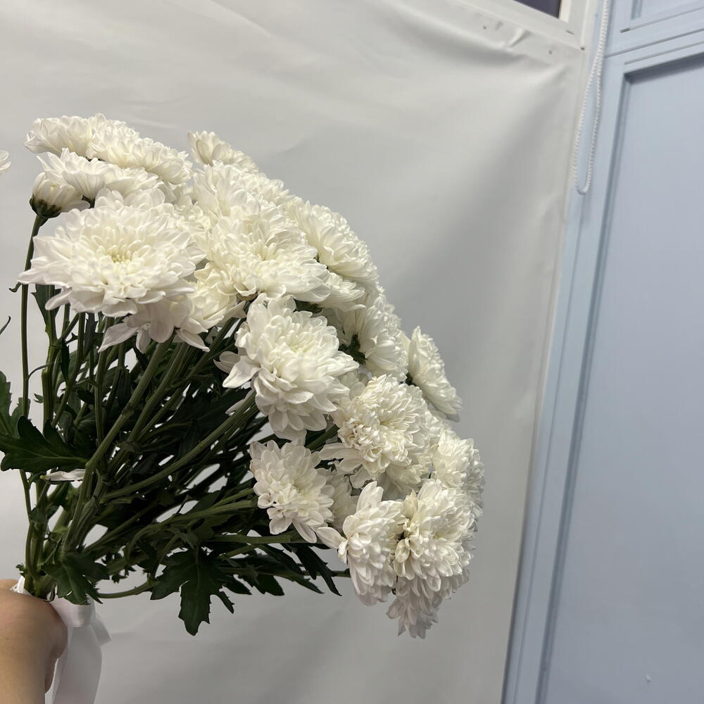 Цветы поштучно
