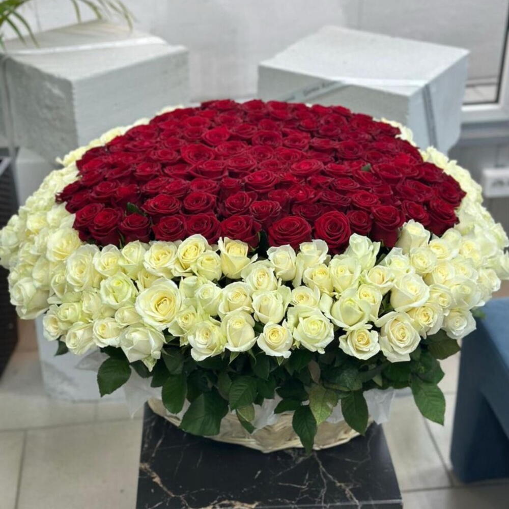 🌹301 роза для принцессы👸
