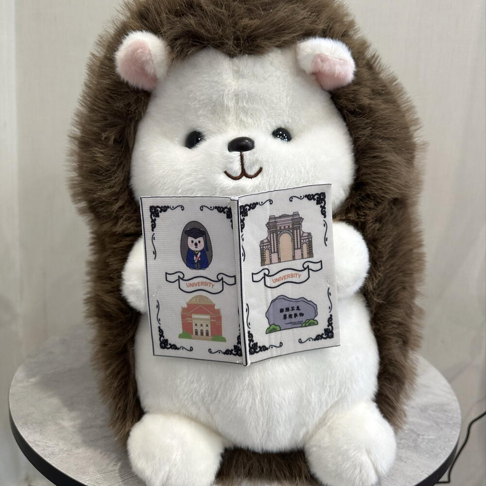 Игрушка