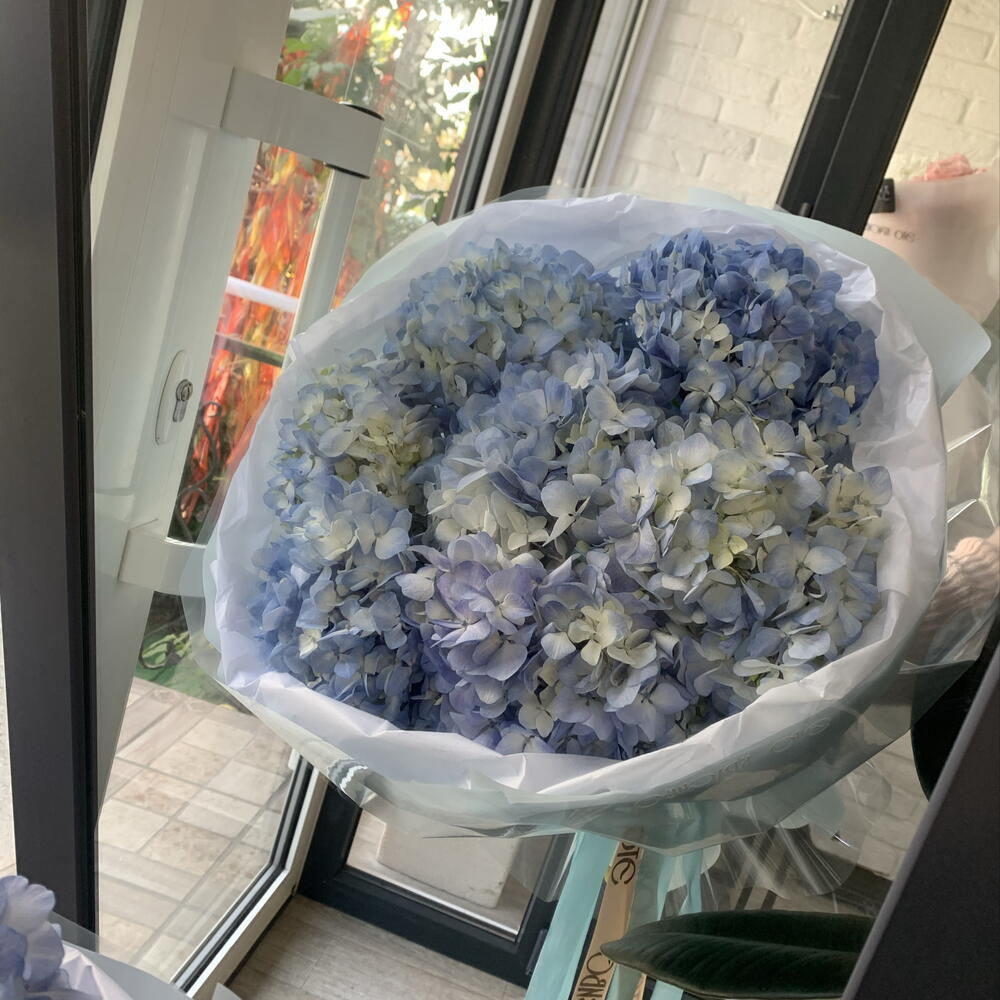 Небо
