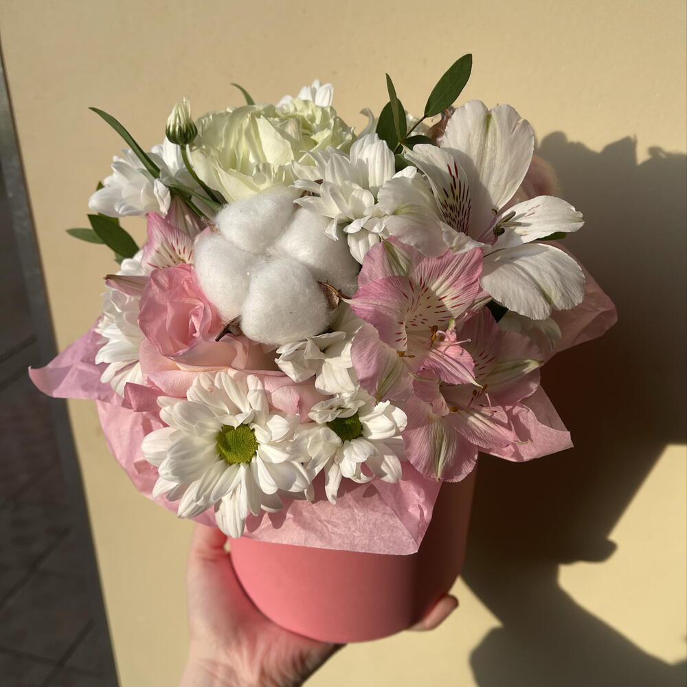 Хлопок