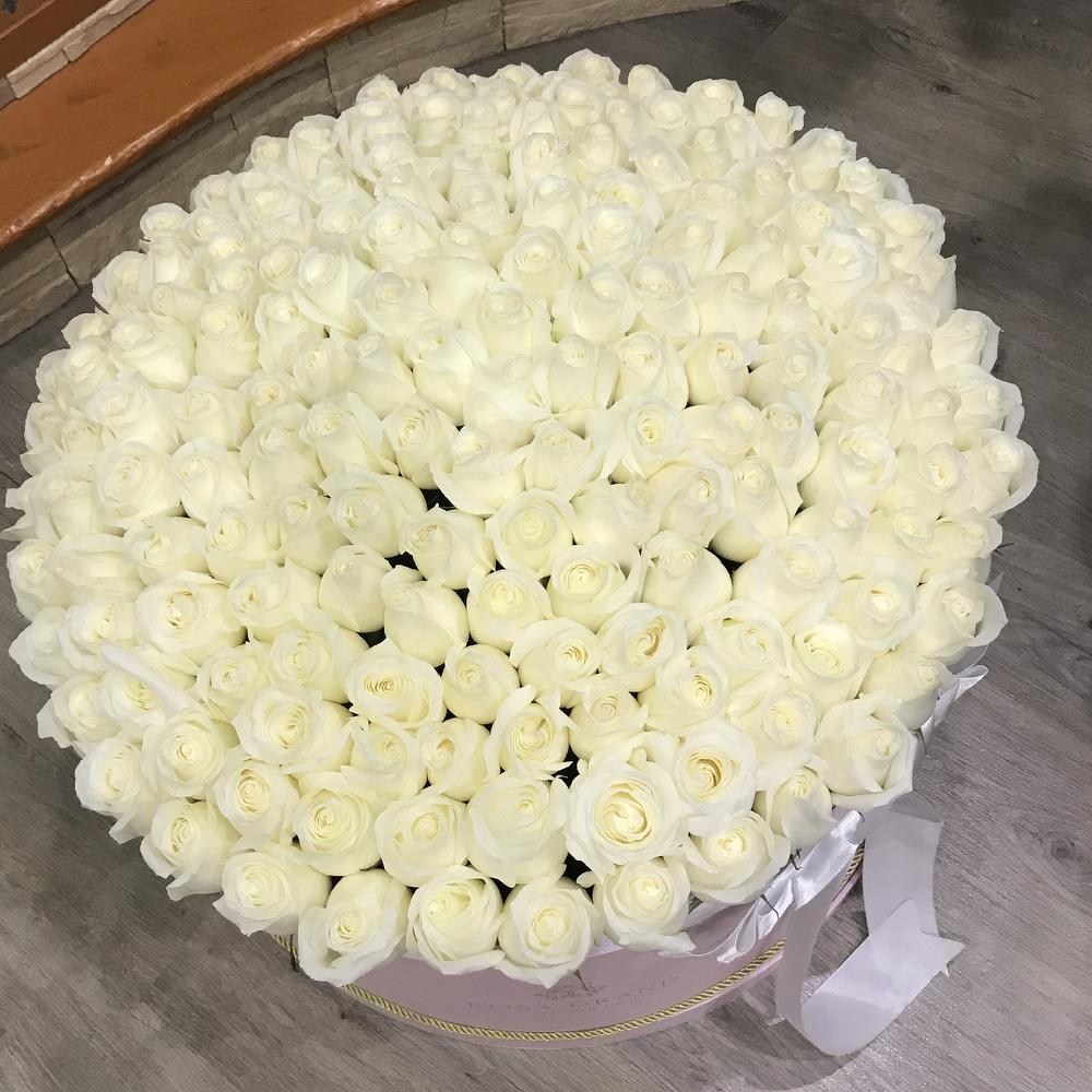 XXL До 215 роз