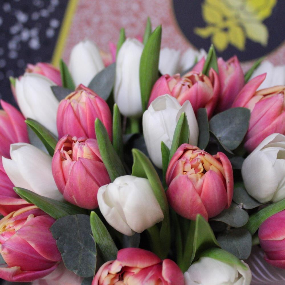 25 tulips in a box