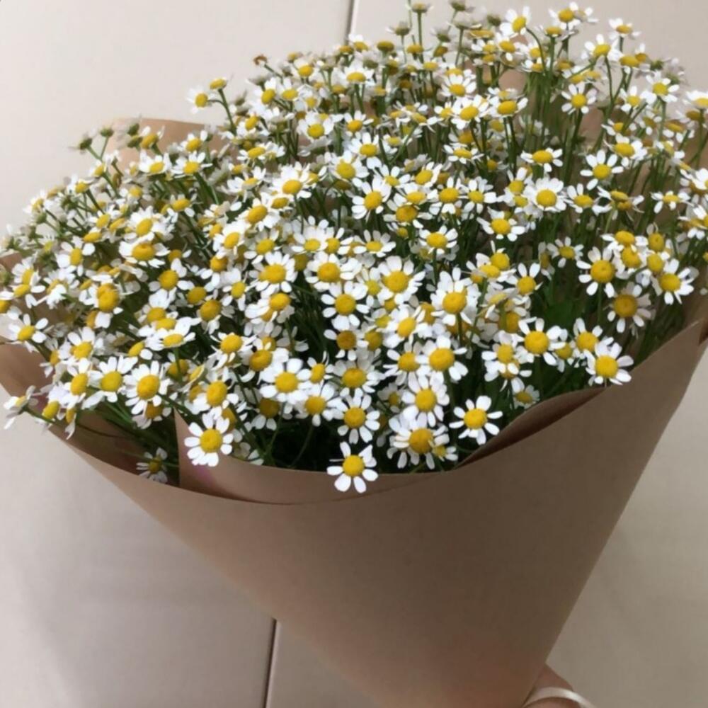 Bouquet of "daisies"