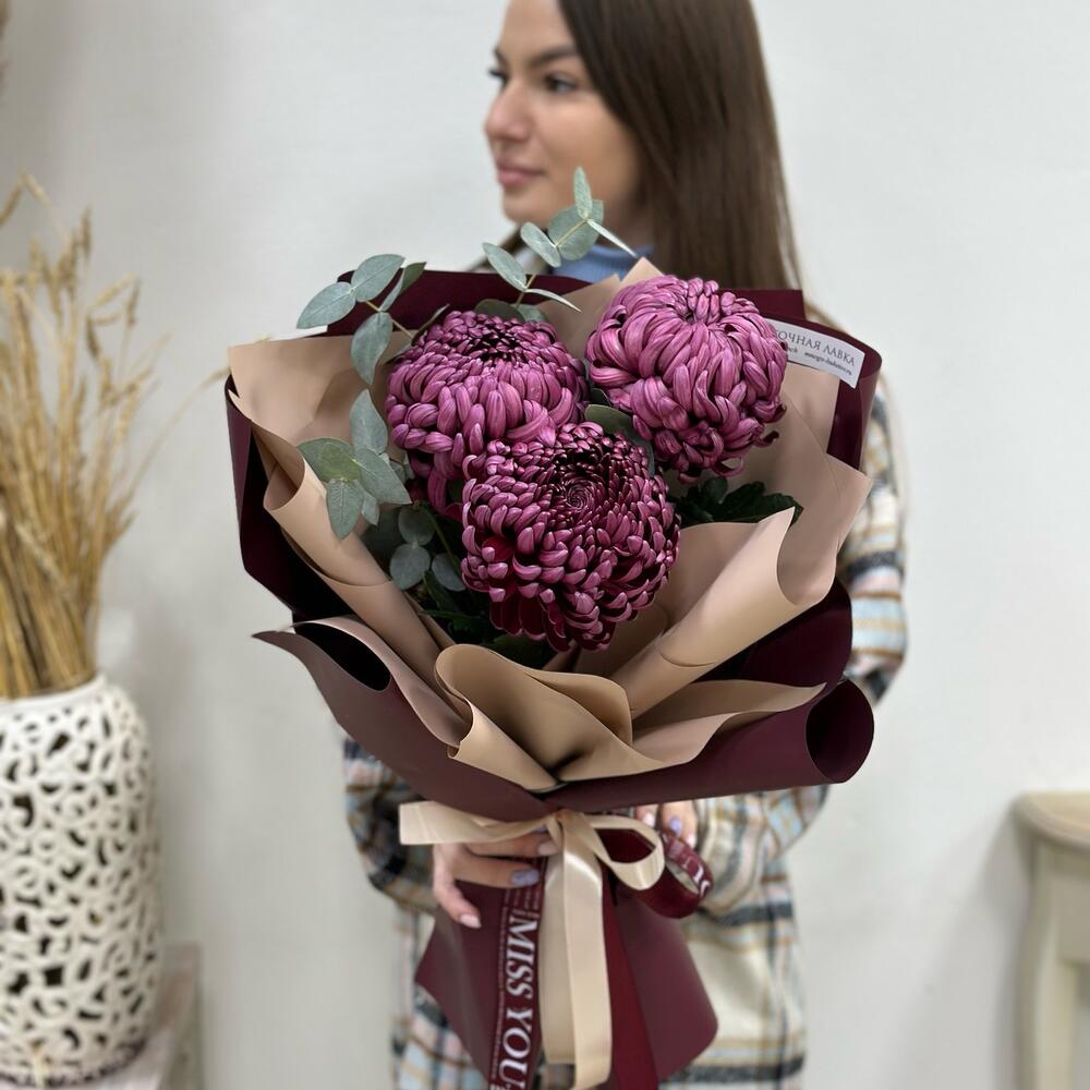 Хризантема