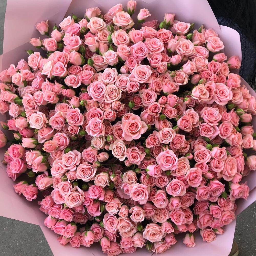 Кустовые розы
