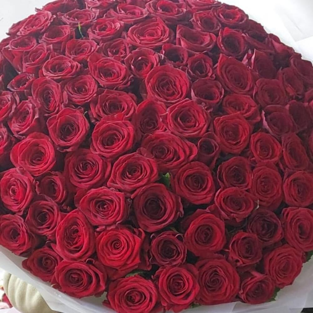 101 роза  60 см