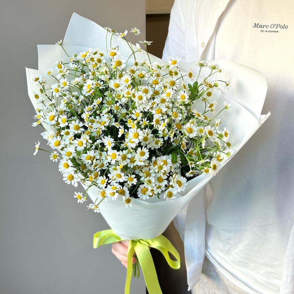 Очаровательный букет ромашек 🌼