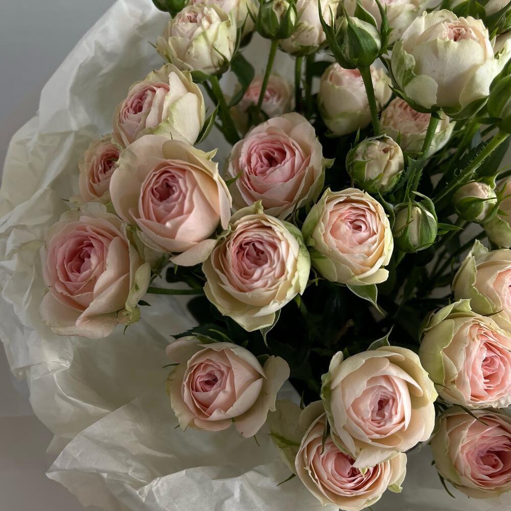 Lovely 🤍 букет из пионовидных кустовых роз 🌸