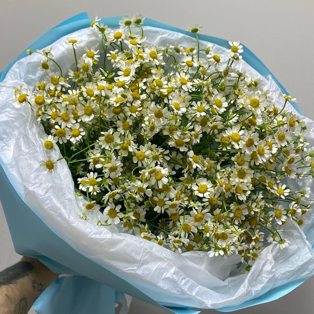 Любовь до неба