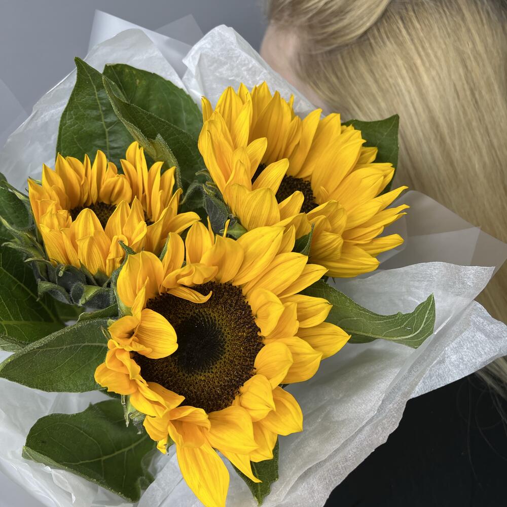 Моник из Подсолнухов 🌼