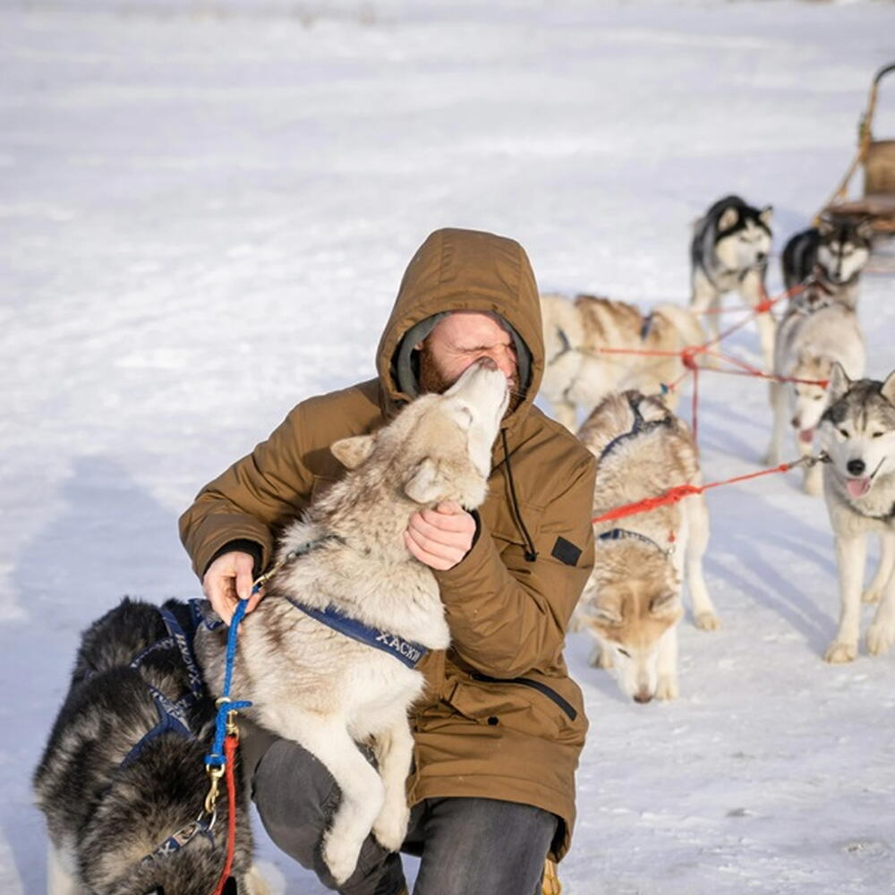 Усы, лапы и хвост! Катание на собачьих упряжках
