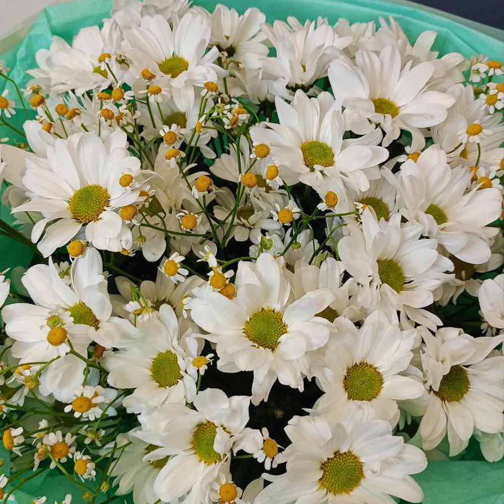 Летний букет из ромашковой хризантемы