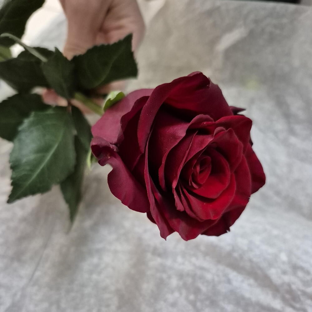 review-photo