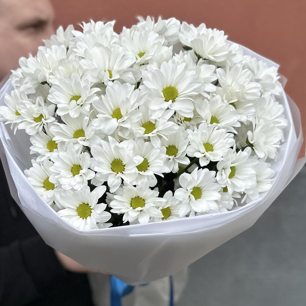 ~ 101 белая ромашка (9 веточек)