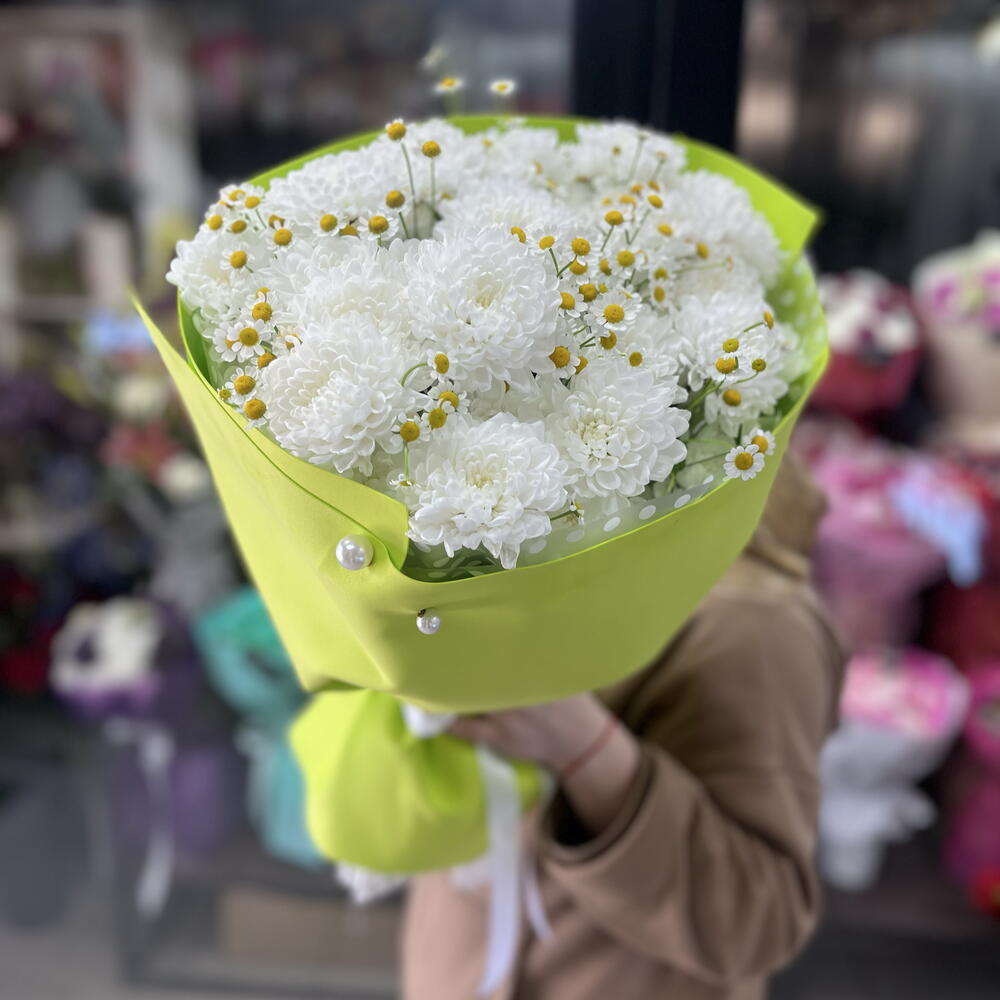 Ромашки и хризантемы