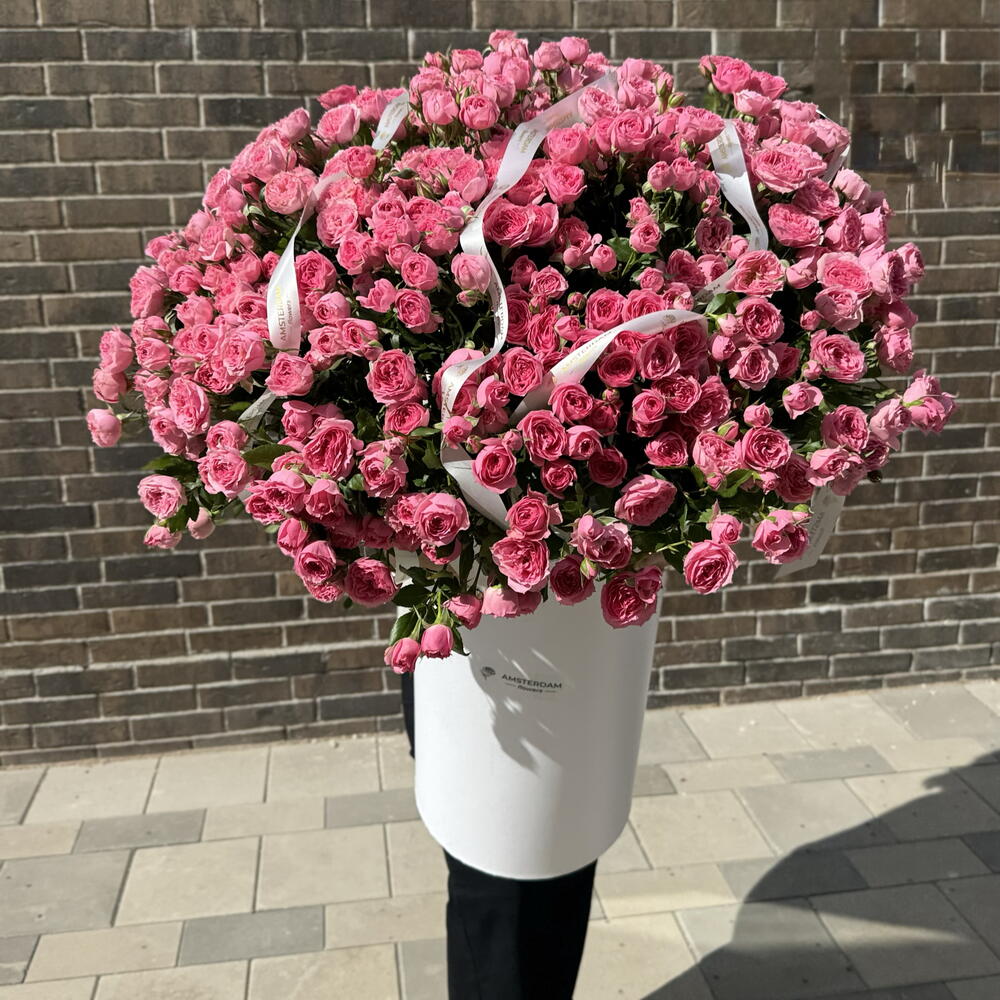 Giant box with Sophie shrub roses