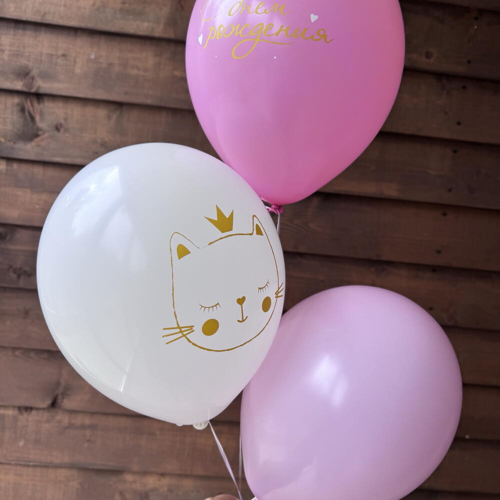 Шары с днем рождения, кошечка