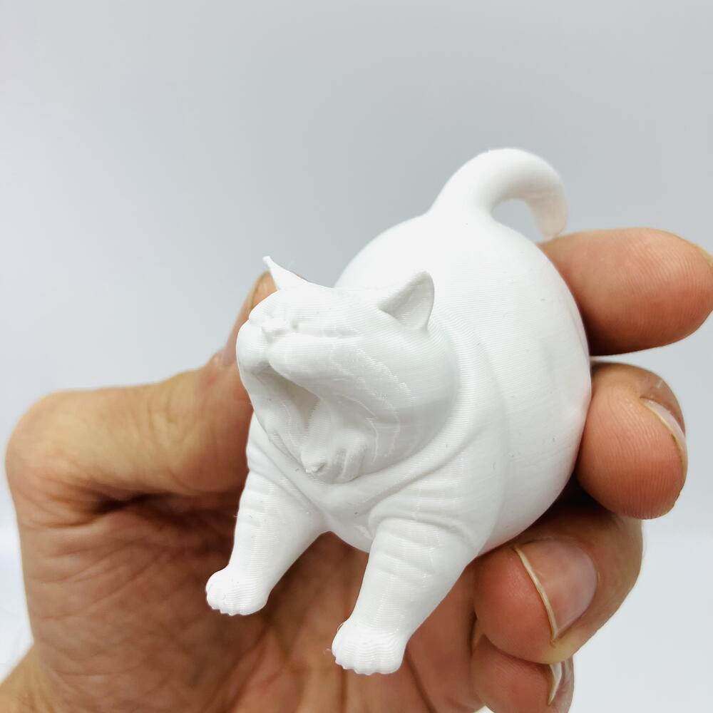 кот зевун котозилла белый