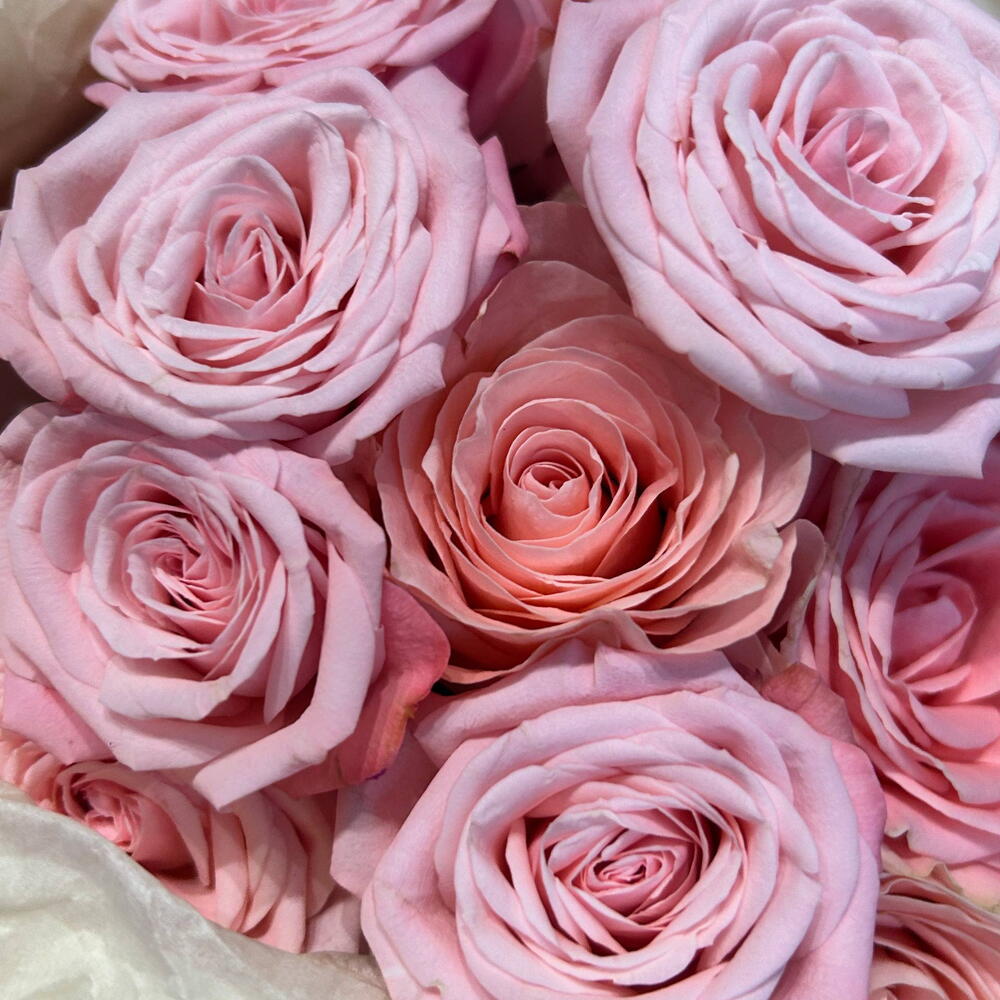 Букет из роз🎀