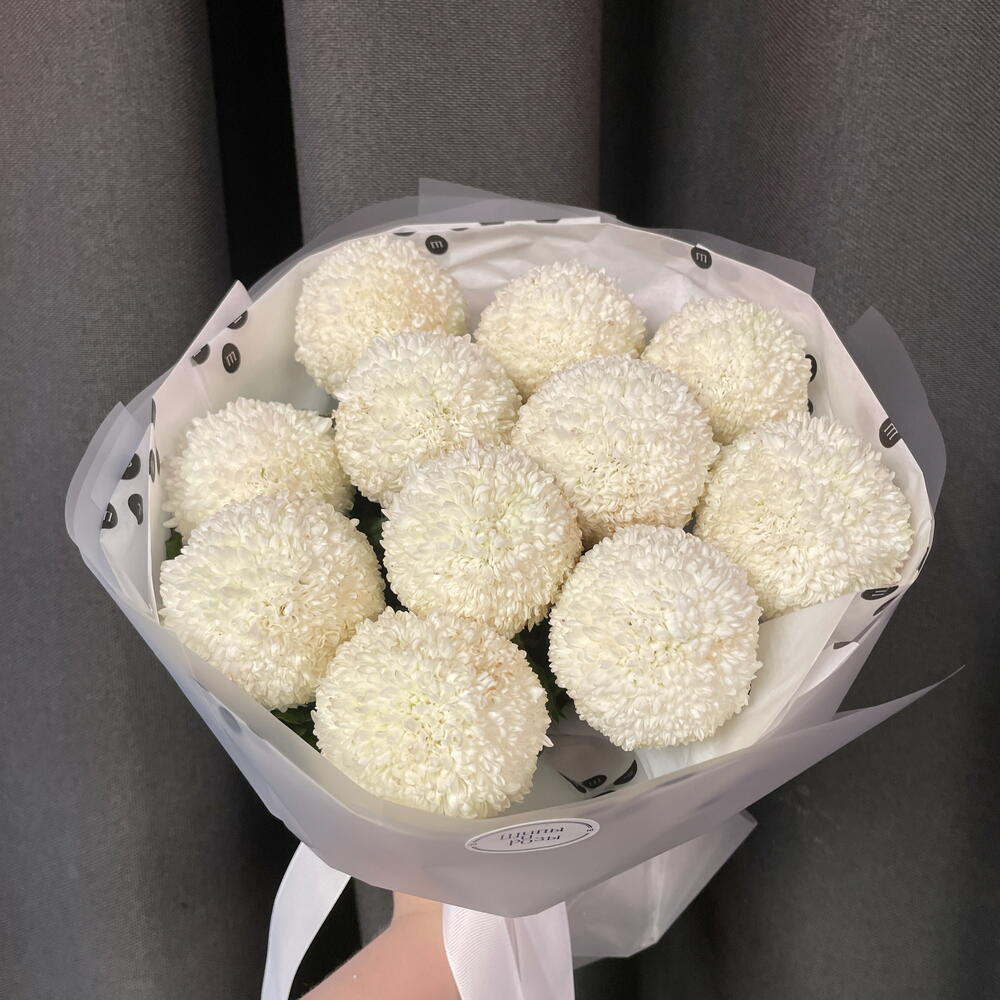 Хризантемы рафаэлки🍨