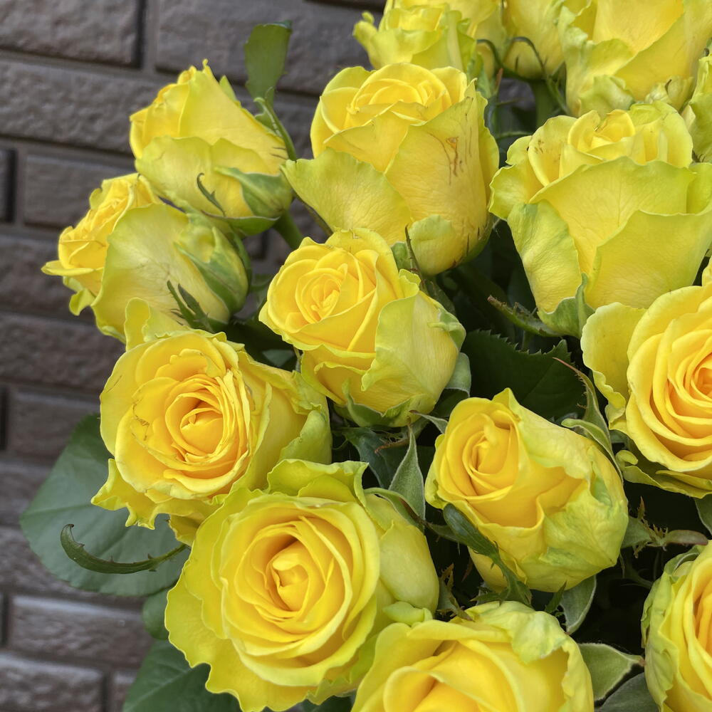 Роза 💛💛💛💛💛 59шт