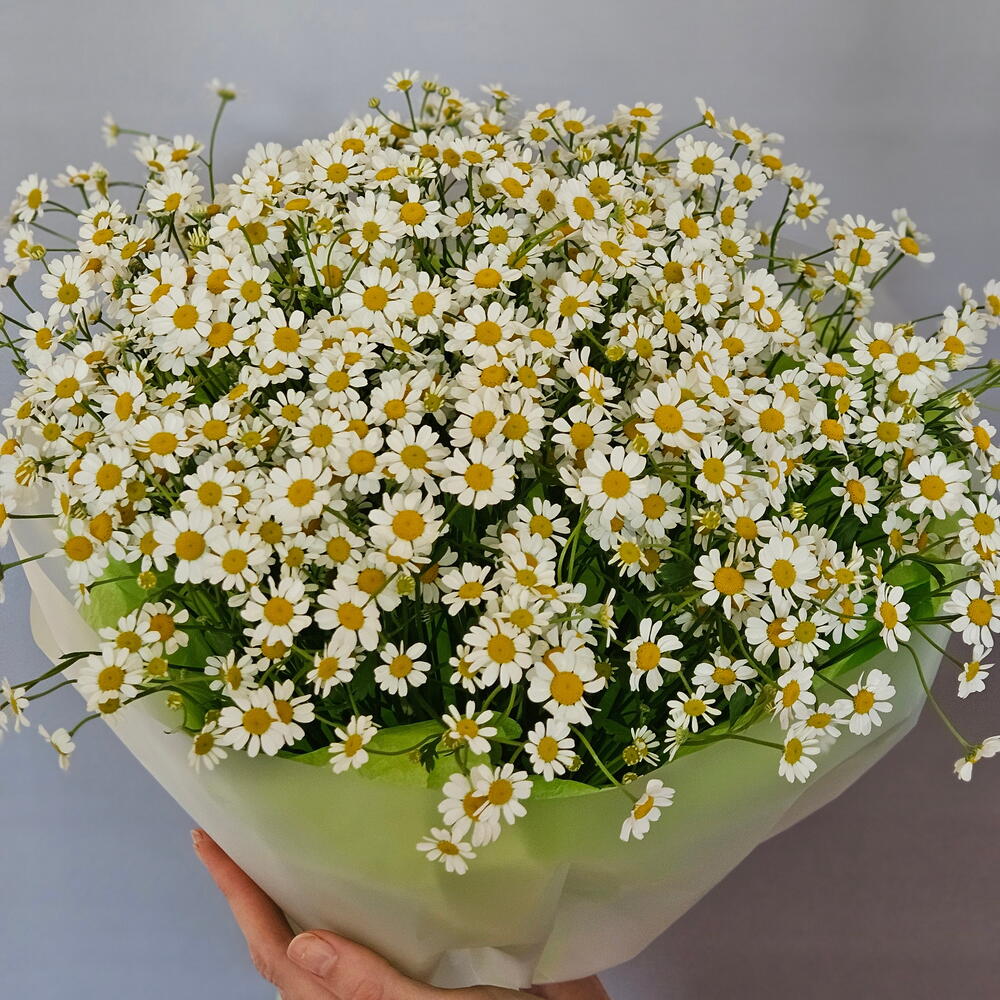 Готовый букет ромашки