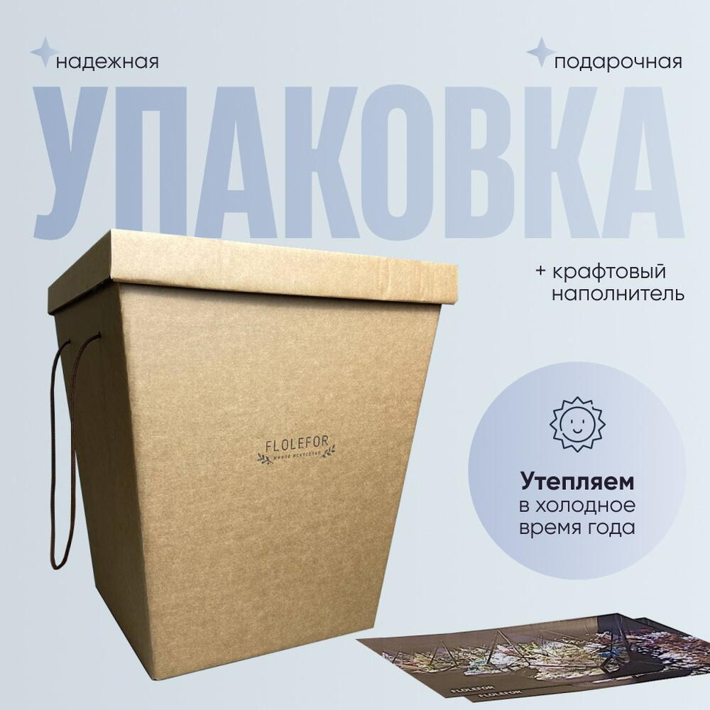 Флорариум с деревом бонсай лигуструмом "Дом Тоторо"