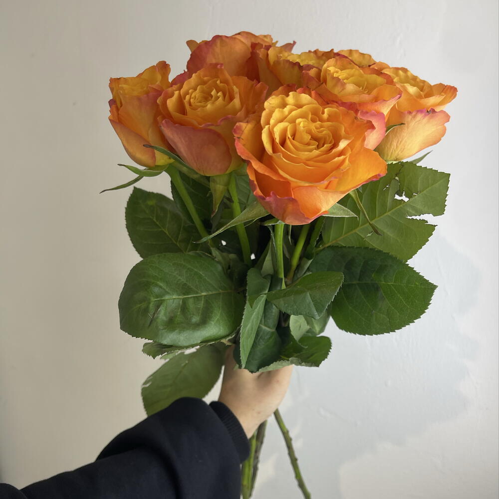 Розы рыжие 🧡9