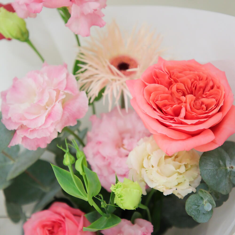 Dusty Blush