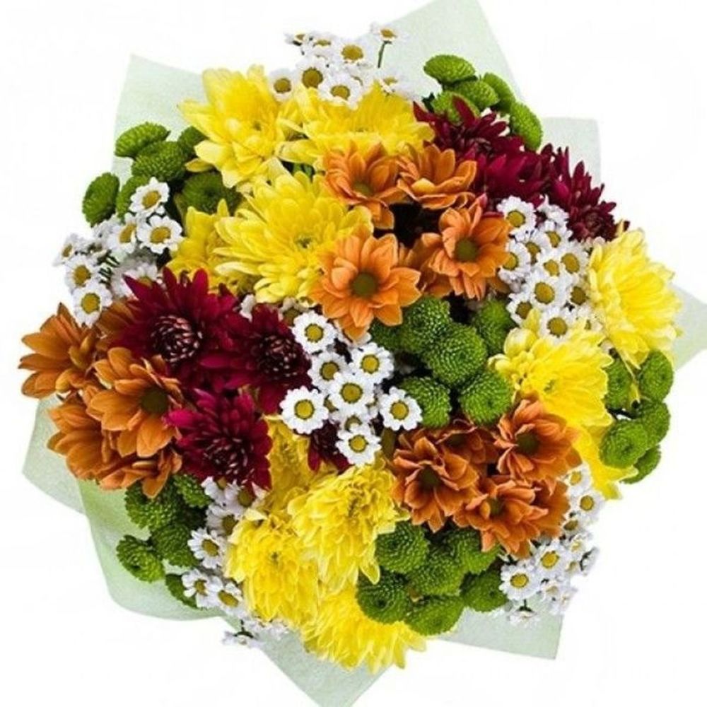 BC-160104 "Assorted"