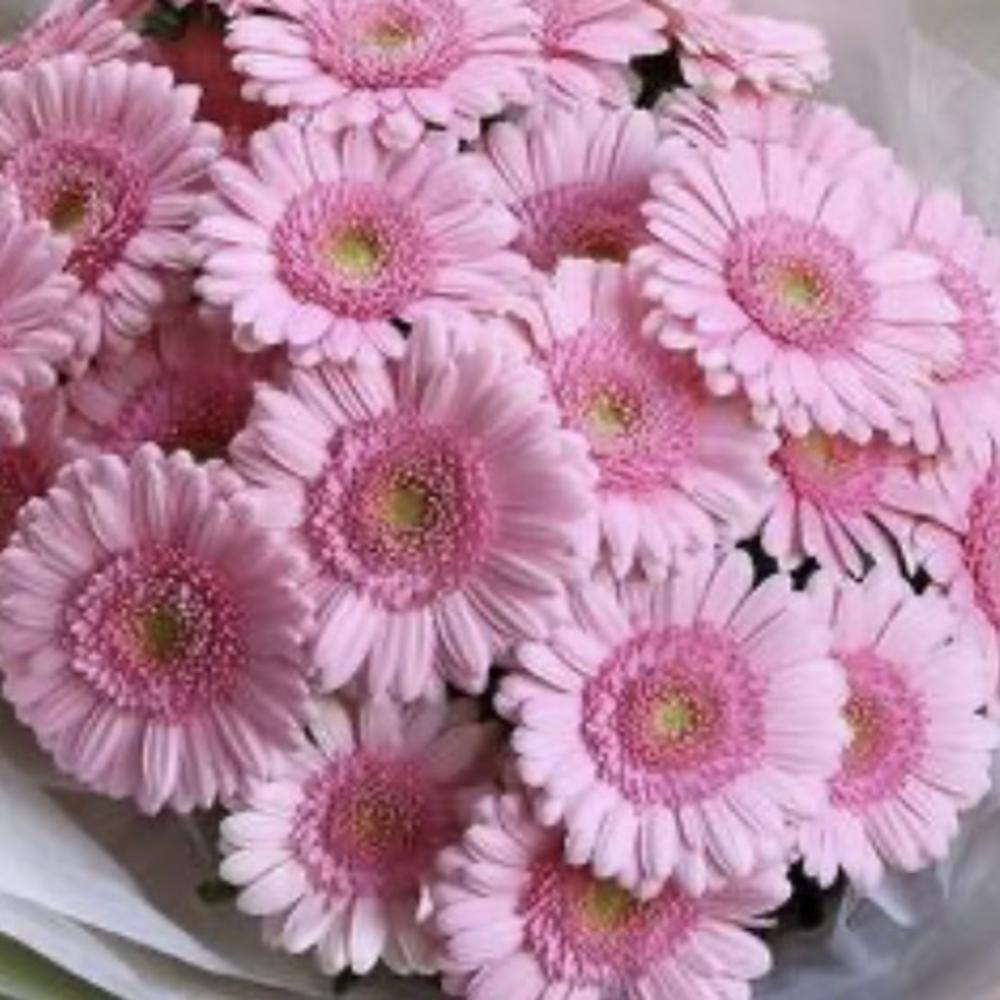 Tenderness