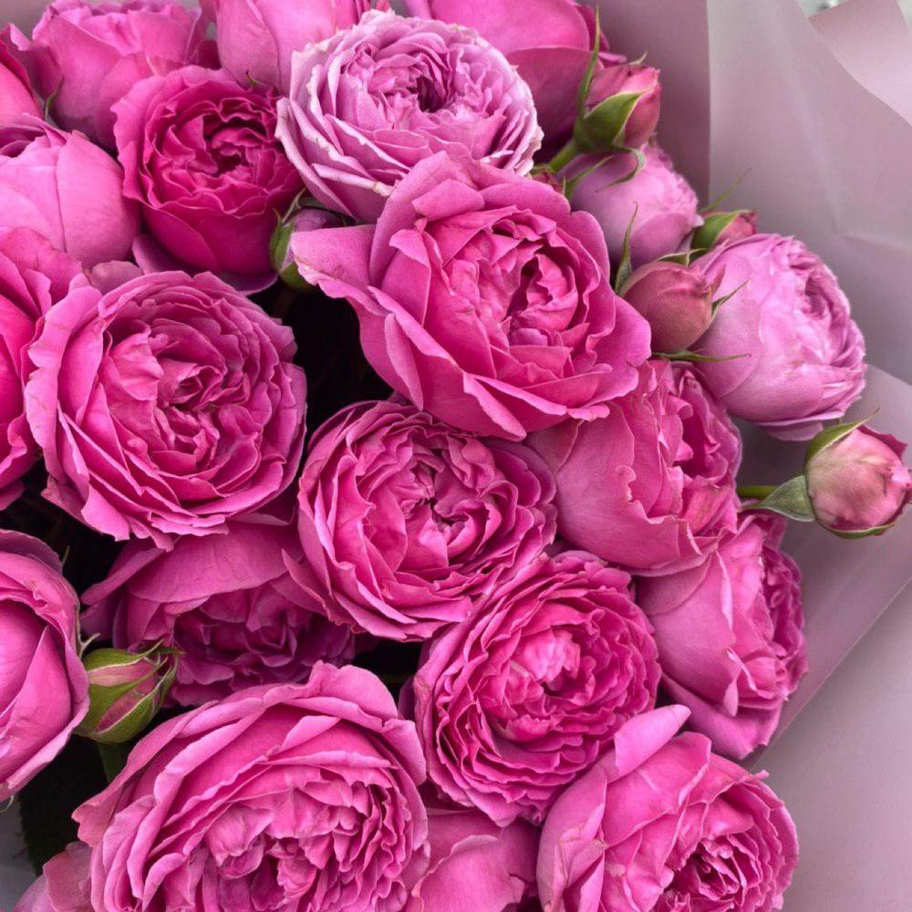 true pink