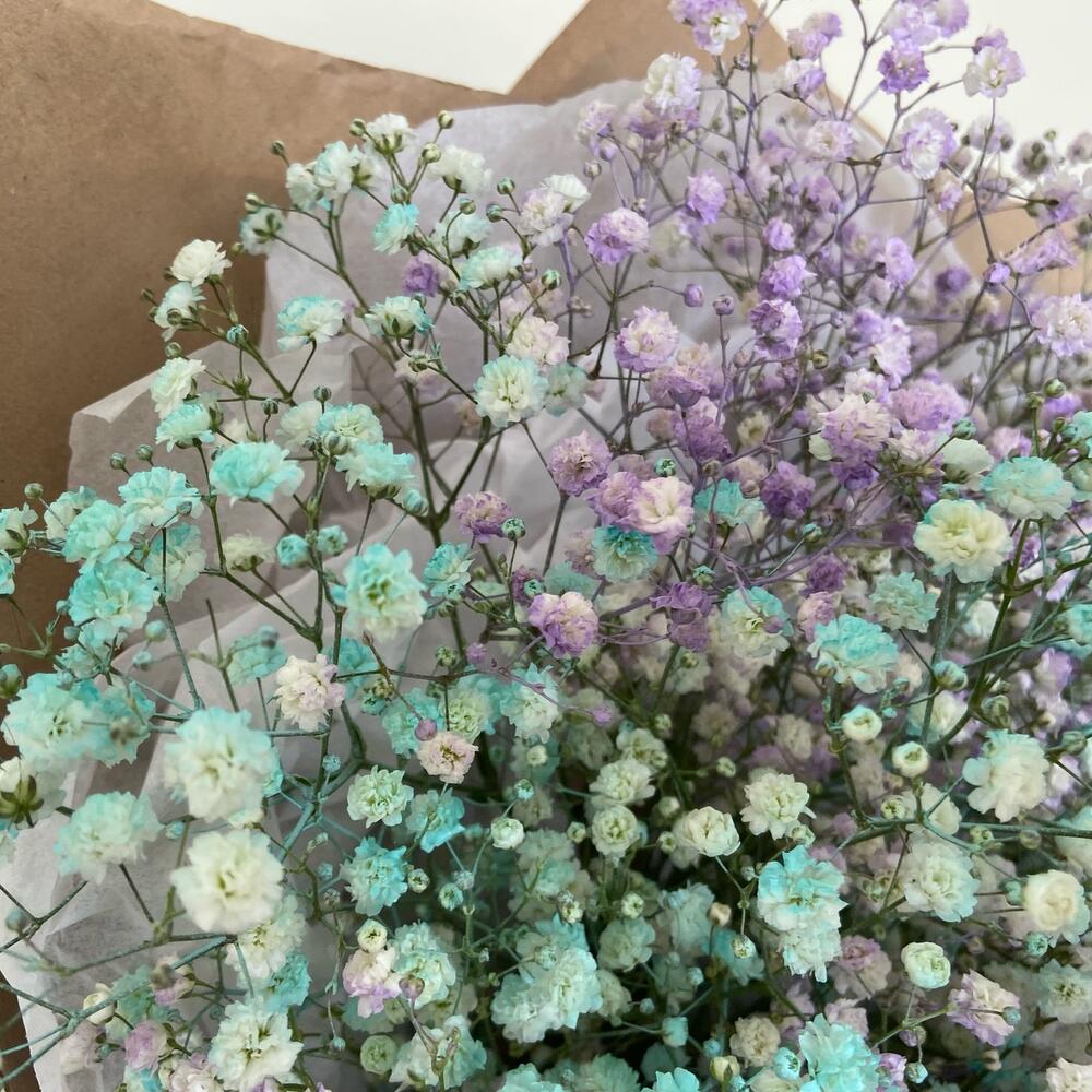 Gypsophila in crafting