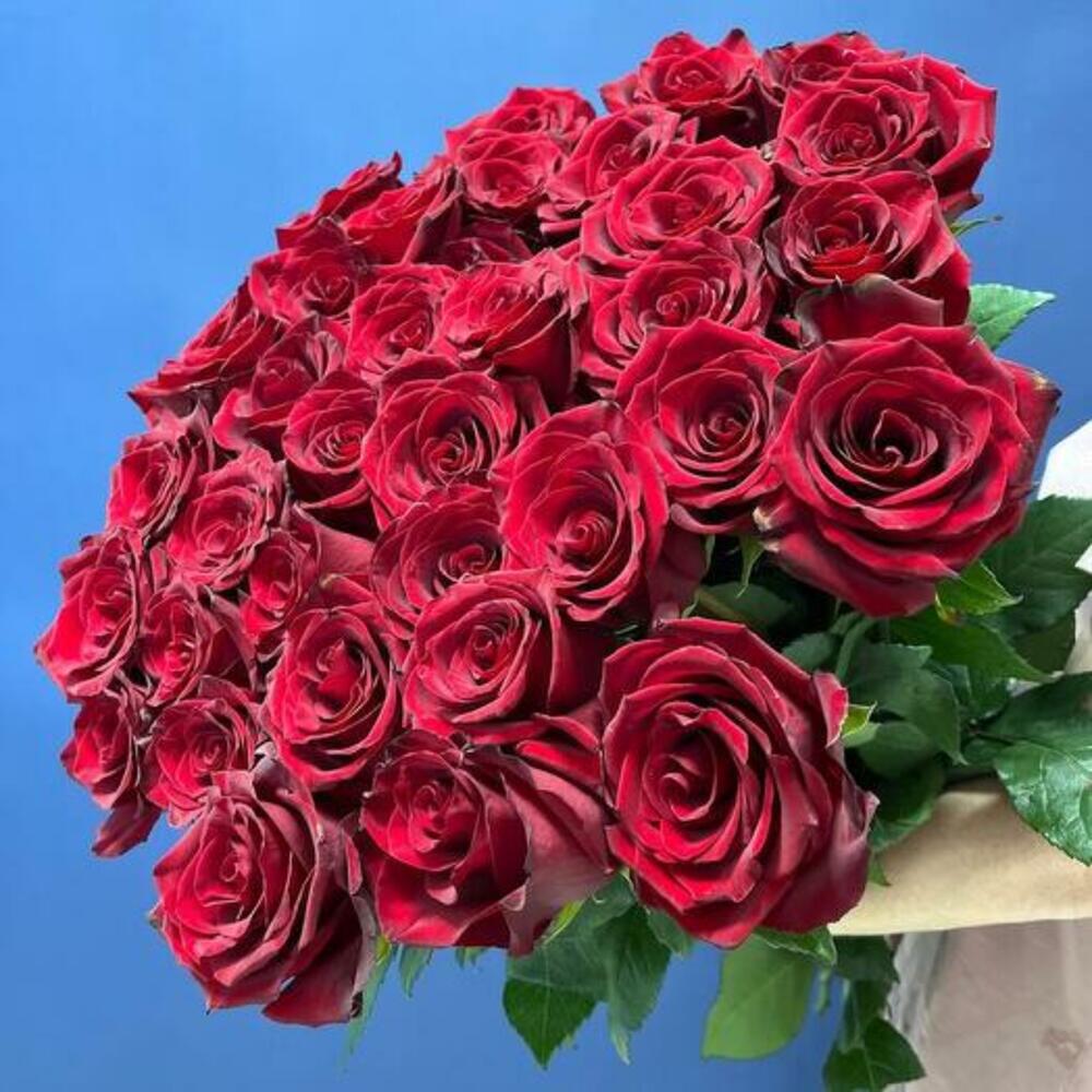 🍒35 метровых эквадорских роз