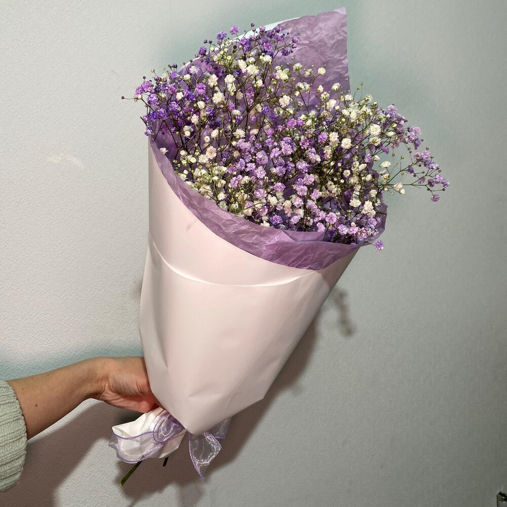 Сиреневая гипсофила