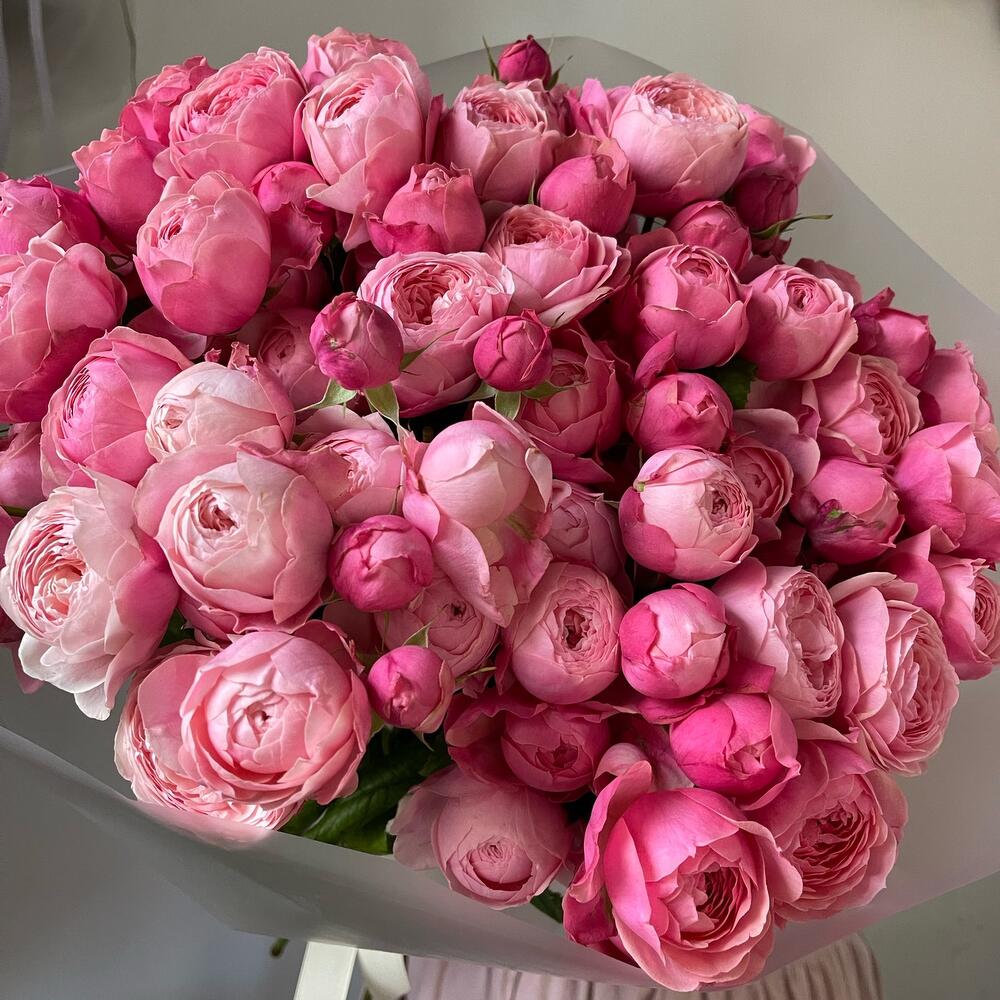 25 кустовых пионовидных роз🌸
